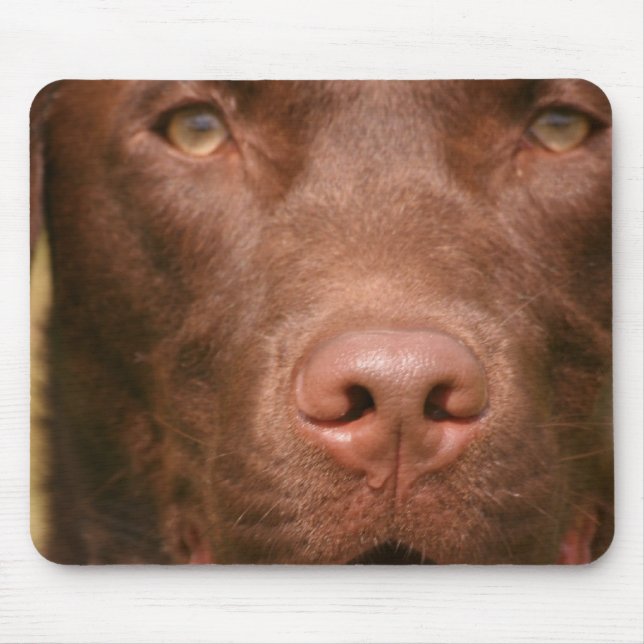 Mousepad Tapete do rato do laboratório do chocolate (Frente)