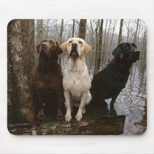 Mousepad tapete do rato do labrado (Frente)