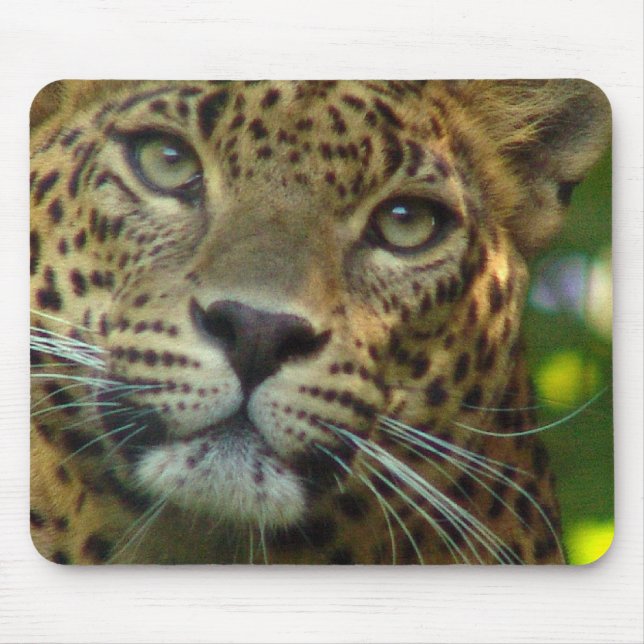 Mousepad Tapete do rato do leopardo (Frente)