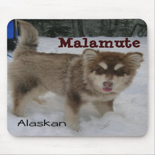 Mousepad Tapete do rato do Malamute do Alasca