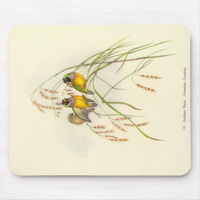 Mousepad Tapete do rato do passarinho de Gould - de (Frente)