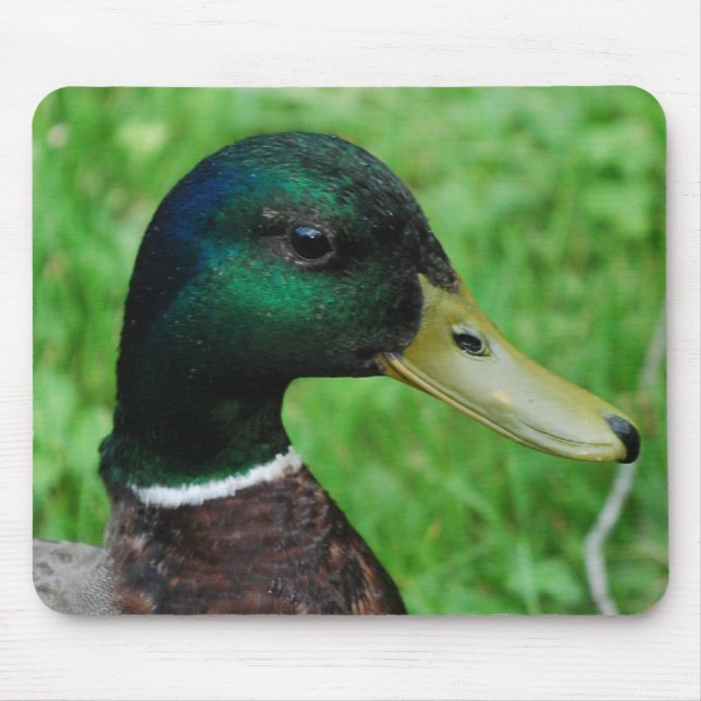 Mousepad Tapete do rato do pato selvagem (Frente)