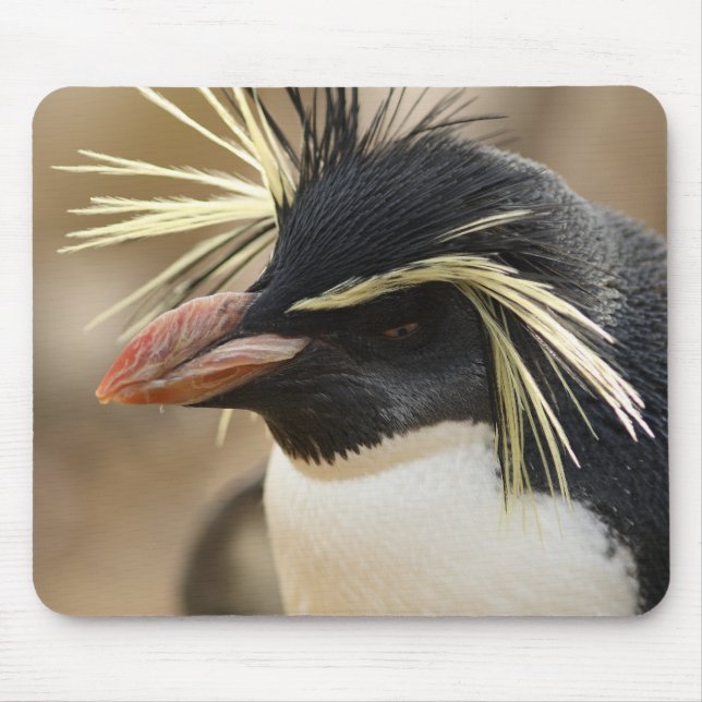 Mousepad Tapete do rato do pinguim de Rockhopper (Frente)