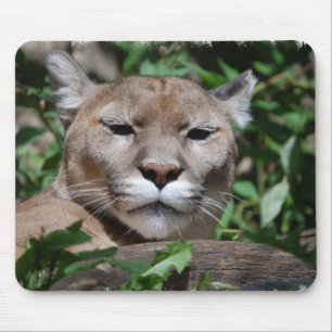 Mousepad Tapete do rato do predador do puma