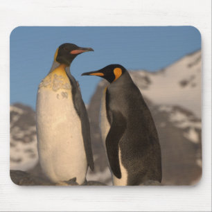 Mousepad Tapete do rato do rei pinguim