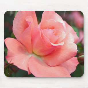 Mousepad Tapete do rato do rosa do rosa