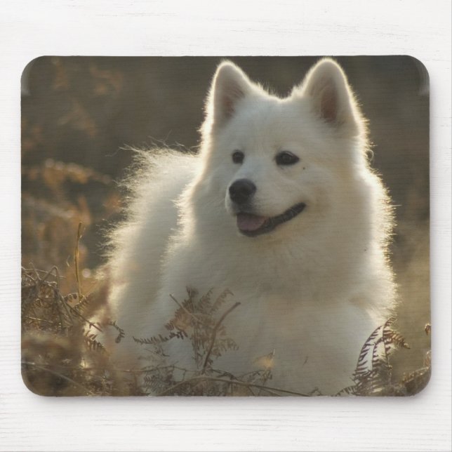 Mousepad Tapete do rato do Samoyed (Frente)