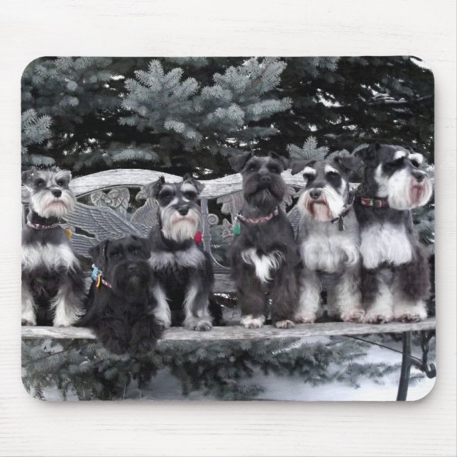 Mousepad Tapete do rato do Schnauzer (Frente)