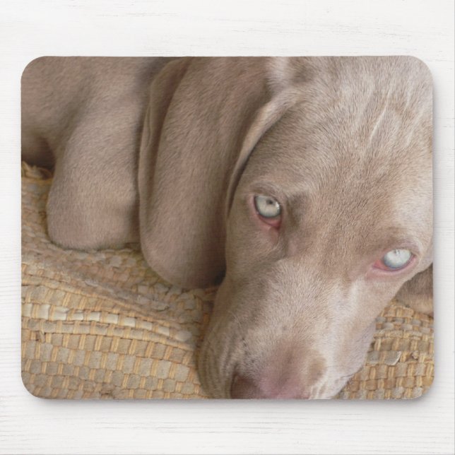 Mousepad Tapete do rato do sono Weimaraner (Frente)