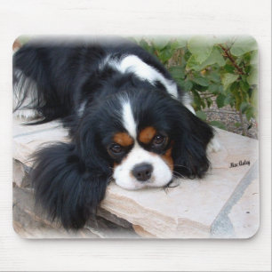 Mousepad Tapete do rato do Spaniel de rei Charles