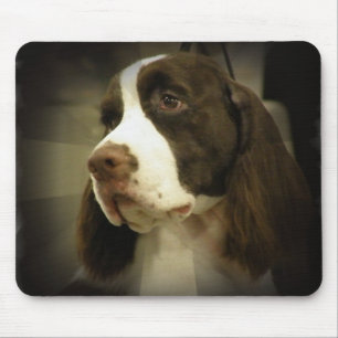 Mousepad Tapete do rato do Spaniel de Springer