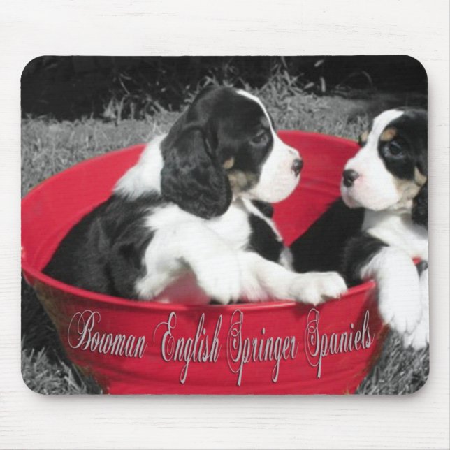 Mousepad Tapete do rato do Spaniel de Springer (Frente)