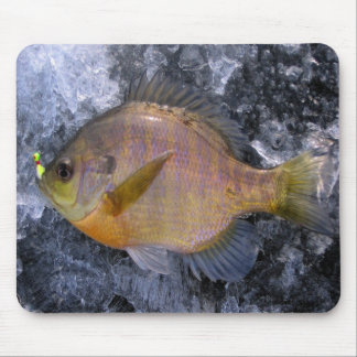 Mousepad Tapete do rato do Sunfish