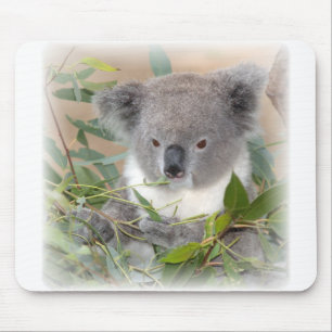 Mousepad Tapete do rato do urso de Koala