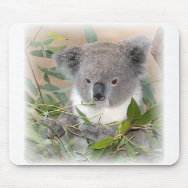 Mousepad Tapete do rato do urso de Koala (Frente)