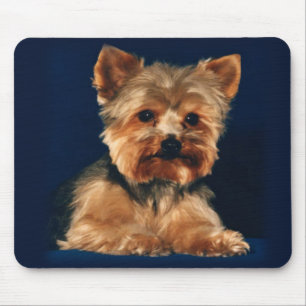 Mousepad tapete do rato do yorkie