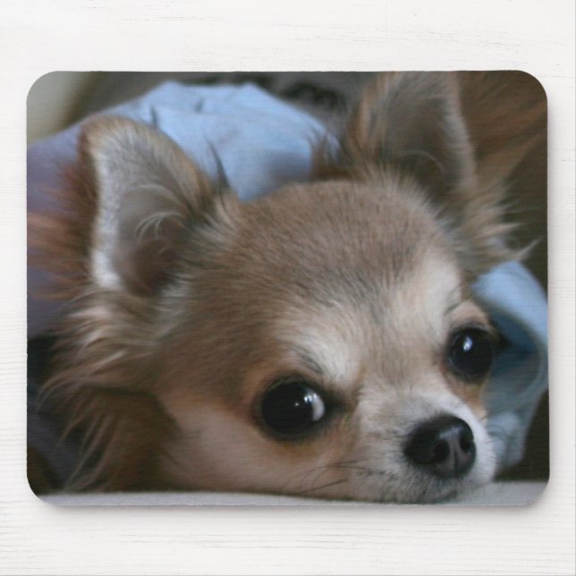 Mousepad Tapete do rato doce do filhote de cachorro (Frente)
