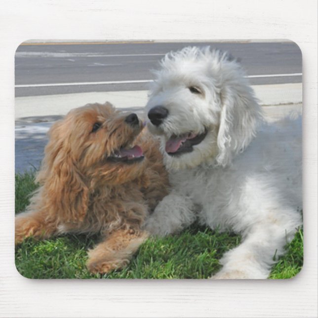 Mousepad Tapete do rato dos amigos de Goldendoodle (Frente)