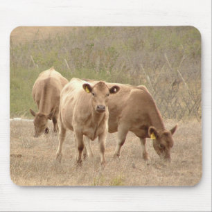 Mousepad tapete do rato dos cinzas de Murray