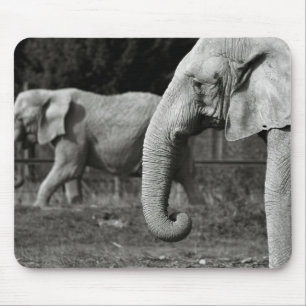 Mousepad Tapete do rato dos elefantes asiáticos