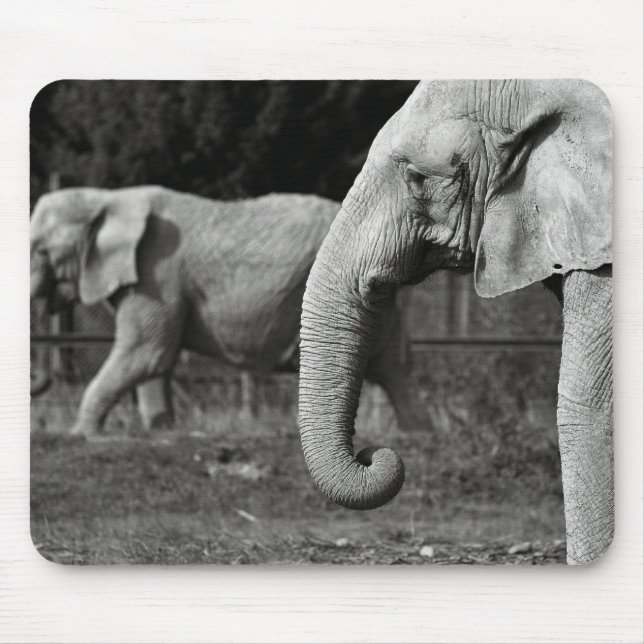Mousepad Tapete do rato dos elefantes asiáticos (Frente)