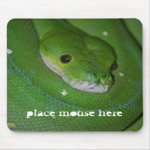 Mousepad Tapete do rato exótico Coiled do cobra verde