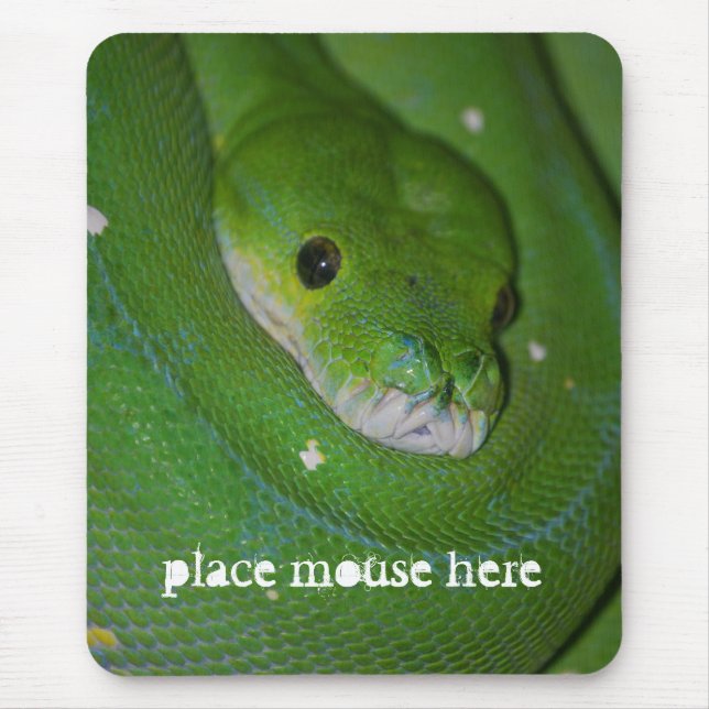 Mousepad Tapete do rato exótico Coiled do cobra verde (Frente)