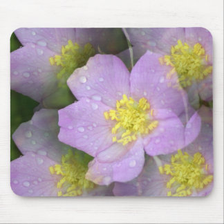 Mousepad Tapete do rato floral de Kalidascope