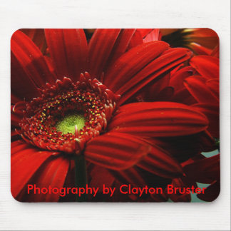 Mousepad Tapete do rato -- Floral vermelho