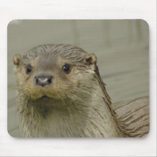 Mousepad Tapete do rato gigante da lontra de rio