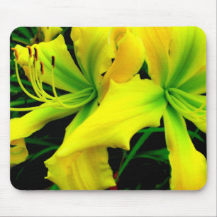 Mousepad Tapete do rato: Hemerocallis