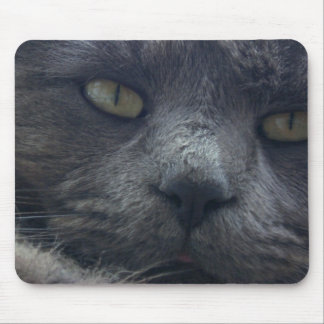 Mousepad Tapete do rato legal da cara do gato