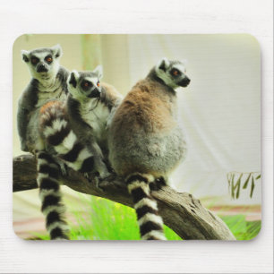 Mousepad Tapete do rato - Lemur-Anel atado