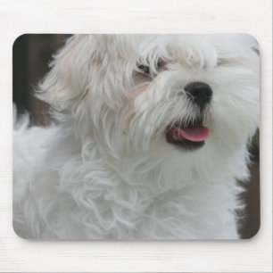 Mousepad Tapete do rato maltês branco do filhote de