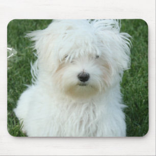Mousepad Tapete do rato maltês dos filhotes de cachorro