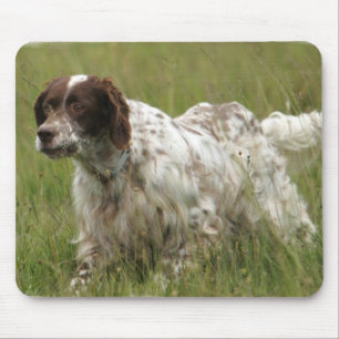 Mousepad Tapete do rato manchado do cão do setter inglês