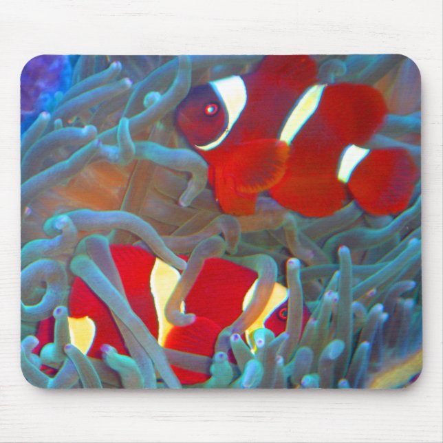 Mousepad Tapete do rato marrom de Clownfish (Frente)