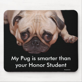 Mousepad Tapete do rato: Meu Pug é mais esperto…