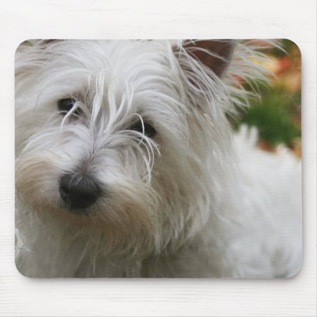 Mousepad Tapete do rato ocidental de Terrier das montanhas (Frente)