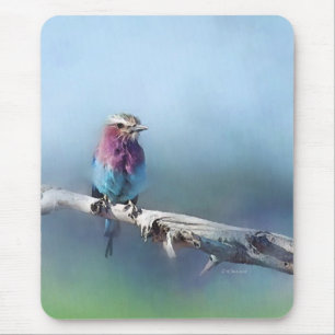 Mousepad Tapete do rato pintado do pássaro