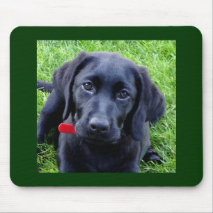 Mousepad Tapete do rato preto do filhote de cachorro de