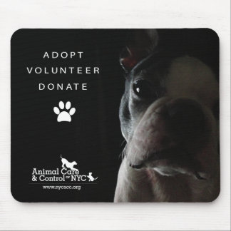 Mousepad Tapete do rato "que olha quietamente "