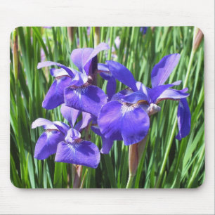 Mousepad Tapete do rato roxo da íris
