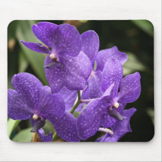 Mousepad Tapete do rato roxo da orquídea