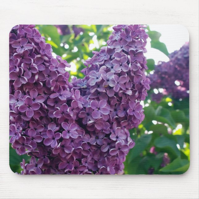 Mousepad Tapete do rato roxo dos Lilacs (Frente)