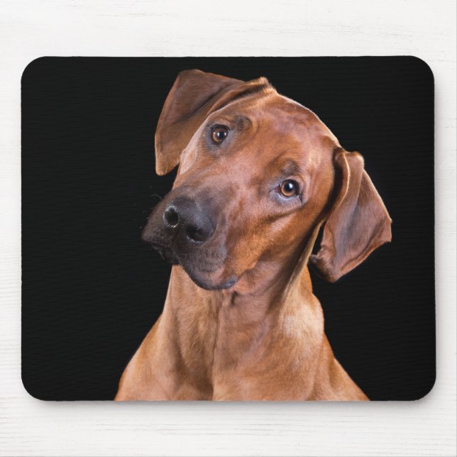 Mousepad Tapete do rato RR (Frente)