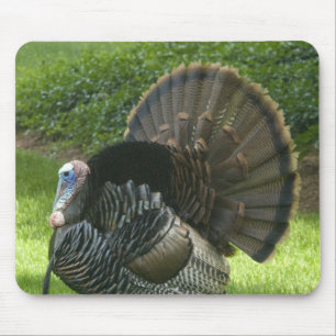 Mousepad Tapete do rato selvagem de Turquia