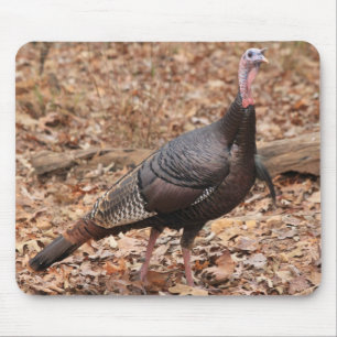 Mousepad Tapete do rato selvagem norte de Geórgia Turquia