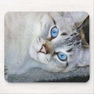 Mousepad Tapete do rato Siamese do gato malhado de prata