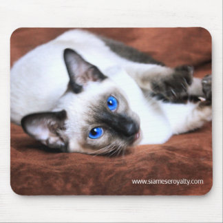 Mousepad Tapete do rato Siamese dos direitos